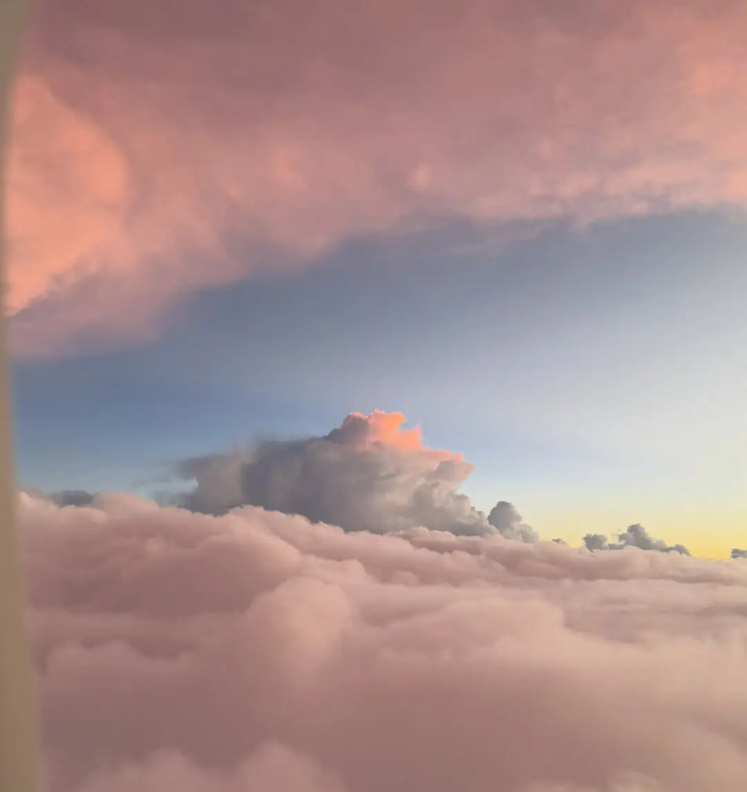 Star beauty Samantha shared special photos for 2025. (1)