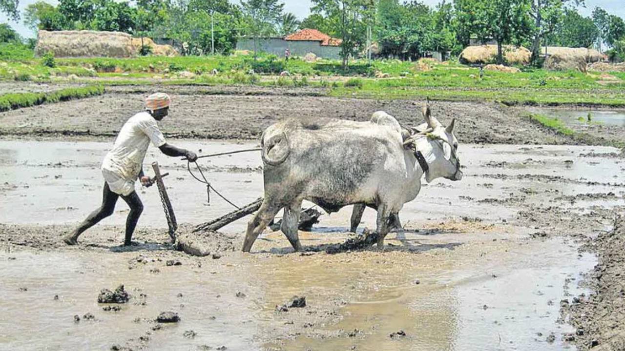 Telangana Govt : ‘రైతు భరోసా’కు కొత్త రూల్స్.. ఈసారి వారికి మాత్రమే డబ్బులు..! తెలంగాణ సర్కార్ కీలక నిర్ణయం..