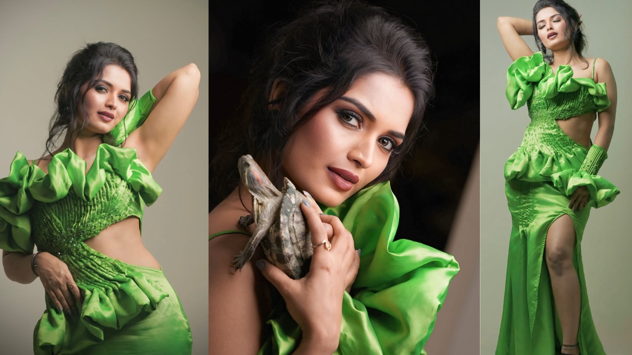 Priyanka Jain : పచ్చ డ్రెస్ లో ప్రియాంక జైన్ పరువాలు.. భుజంపై తాబేలు పెట్టుకొని..