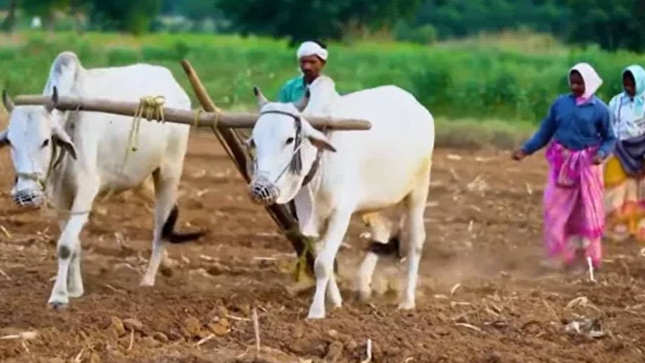 Rythu Bharosa : రైతులకు అలర్ట్.. రైతు భరోసా నిధులు వచ్చేది ఎప్పుడంటే..? తెలంగాణ సర్కార్ కీలక నిర్ణయం