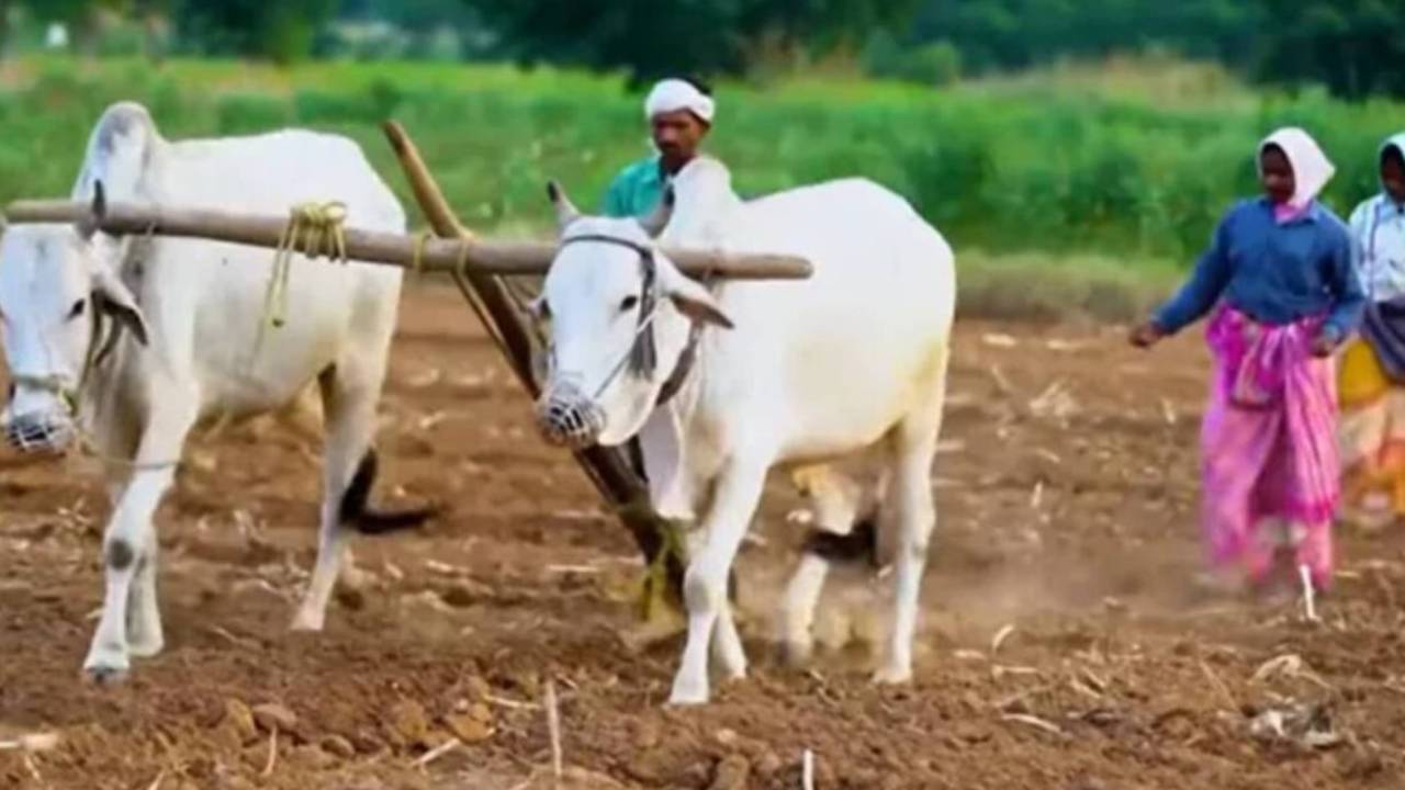 Telangana Govt : తెలంగాణలోని రైతులకు భారీ శుభవార్త.. ఇక నుంచి ప్రత్యేక అంబులెన్సులు..  ఈ యాసంగి సాగుకు ఆ కష్టం తీరినట్లే..!