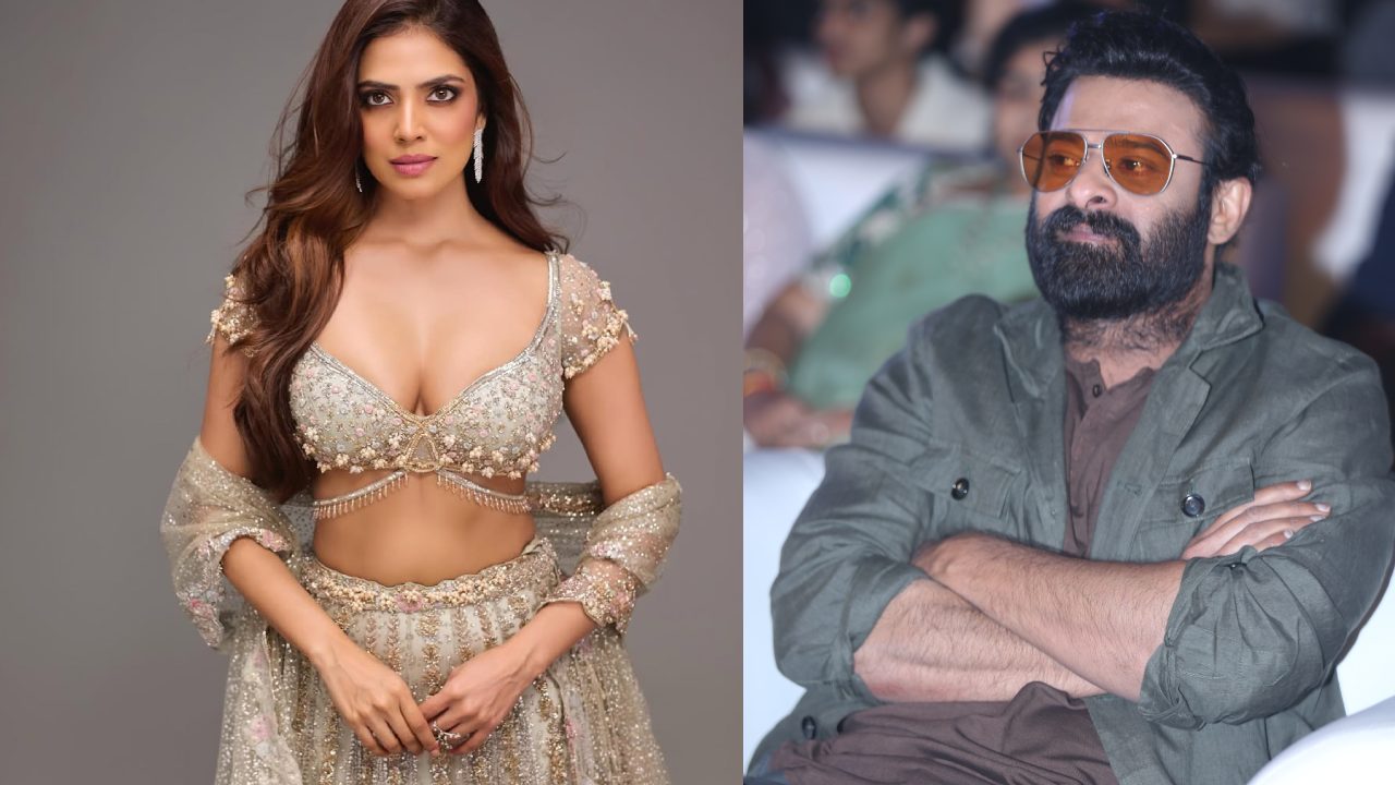 Malavika Mohanan : ప్రభాస్ సినిమా పోయిందని బాధపడ్డా.. నన్నూ ప్రభాస్ ను కలిపింది అదే..